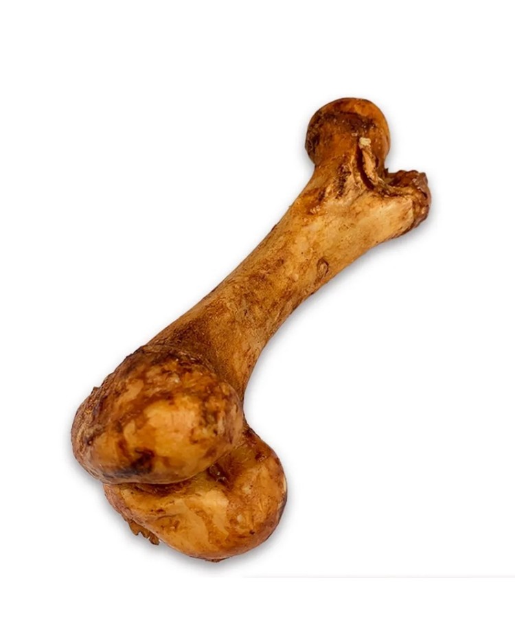 Hueso Femur Cerdo