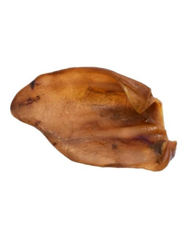 Oreja Cerdo Unidad