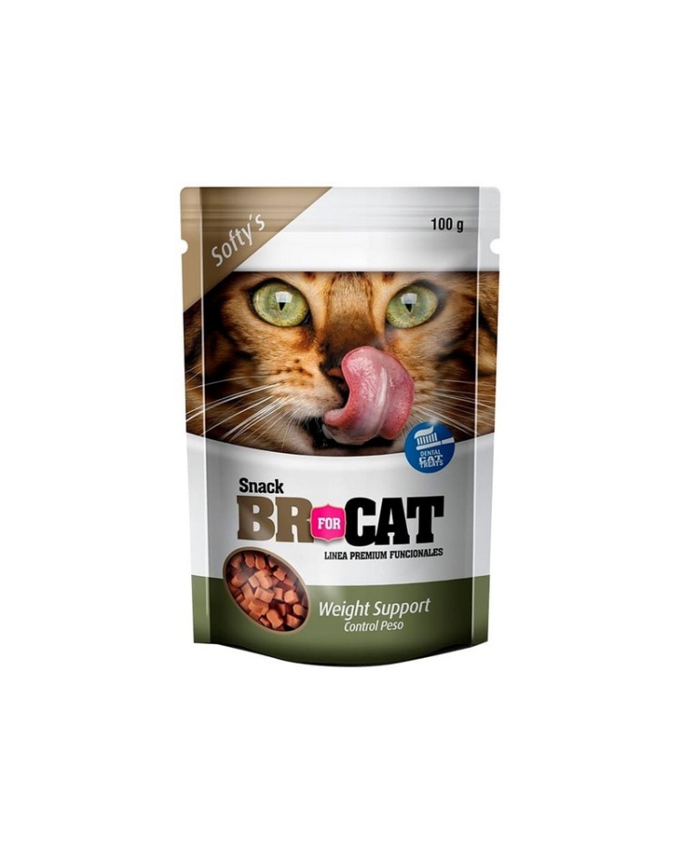 Snacks Br Weight 100 G Gatos