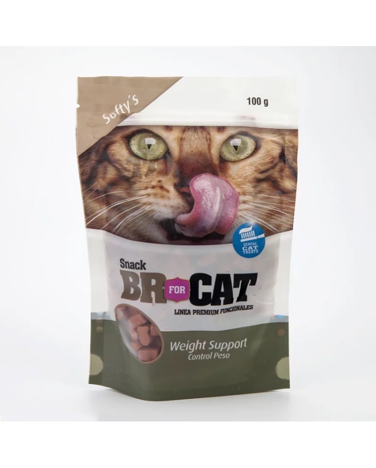 Snacks Br Weight 100 G